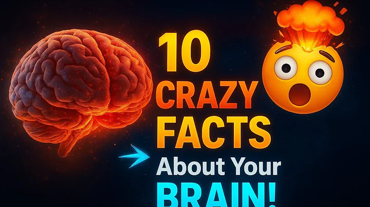 10 Mind-Blowing Facts About the Human Brain 🧠⚡