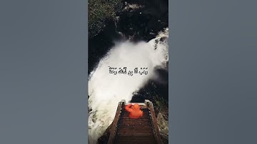 واتس اب قران كريم القارئ ياسر دوسري (ال عمران)