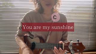 【ウクレレ弾き語り】日本語歌詞をつけてみました→You are my sunshine