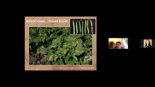 Organic Dry Bean Production Module 4: Pest & Disease Management Live Class Session