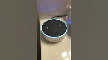 Alexa & Bitcoin