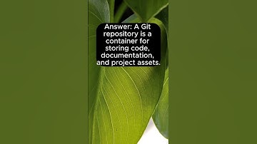 What is the purpose of a Git repository #git #github