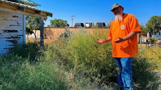 You Won’t BELIEVE What I FOUND In This DISABLED VETERANS Backyard!