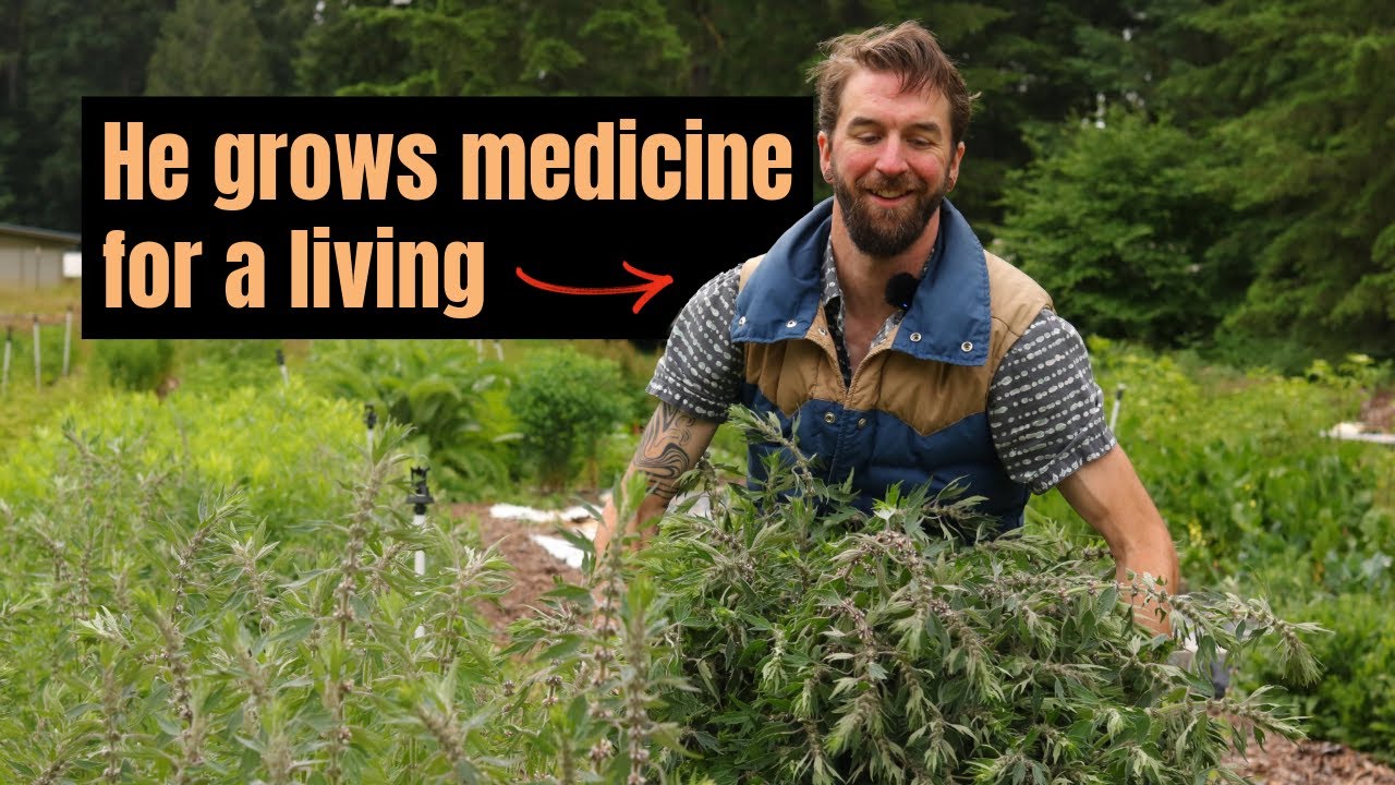 Meet my friend who runs a thriving herb farm | Farmer Interview | Hands on Plants ep. 1