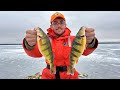 Lake simcoe yellow perch  the search for jumbos 2023