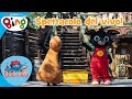 Bing Italiano | Leolandia - Gioca con Bing | Spettacolo del Vivo