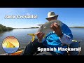 More Kayaking in Florida (Spanish Mackerel and Jack Crevalle)