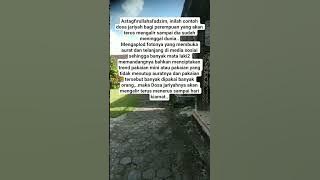 dosa jariyah oerempuan#pecintakucing #sholawat #shorts