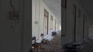 kisah mistis rumah residen pekalongan peninggalan kolonial hindia belanda