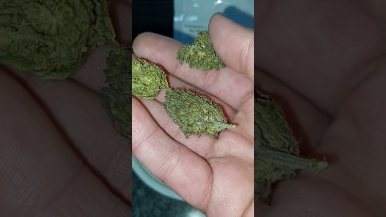 Tweedle Farms Cannatonic Royal Kush CBD hemp flower (is it good?) 