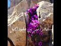 لما رأيت الورد يخرج ضاحكا مستبشر خالد الشهري