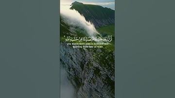 تلاوة من سورة الحشر