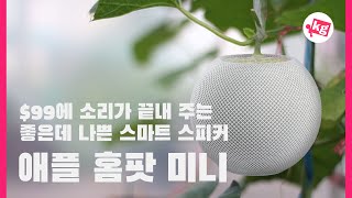 이 집 소리 잘 하네;;; 애플 홈팟 미니 개봉기 [4K]