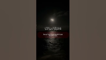 يَا أَيُّهَا النَّاسُ إِنَّ وَعْدَ اللَّهِ حَقٌّ ۖ #قرآن  #راحة_نفسية #آيات #quran# ayat