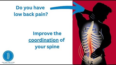 Motor control exercise progression for BACK PAIN | Support and stabilise your spine more efficiently