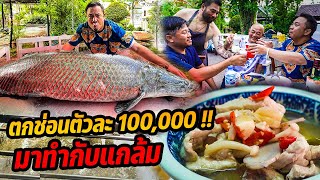 ตกปลาช่อนอเมซอนยักษ์ตัวละ 100,000 มาทำกับแกล้ม !!