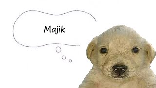 Majik