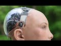 Sophia the Robot:  A Stream of Consciousness About Nature