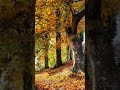 subhanallah