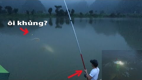 Câu Lục Va Phải Trôi Củ Và Chép khủng