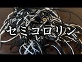 セミコロリン開封動画