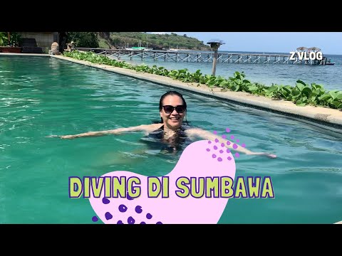 AMAZING! DIVING SERU DI SUMBAWA | Z VLOG