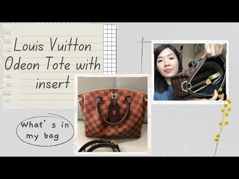 Purse Insert for LV Odeon… Will it work? 