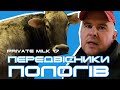 Передвісники пологів | Private Milk | Травецький