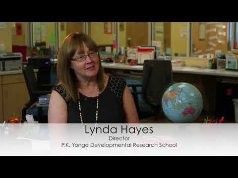 The Teacher Experience in an Innovative Learning Community
