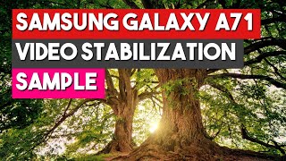 Samsung Galaxy A71 5G, Amazing Video Stabilization