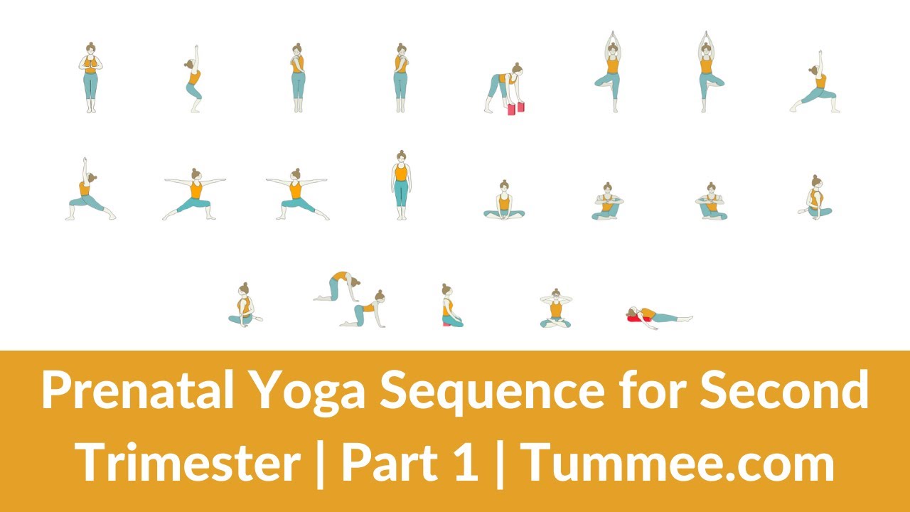 Yoga Sequences - Foundational Sequences for Yoga Teachers | Tummee.com