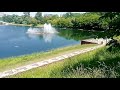20 июня 2021 г.Черкизовский пруд