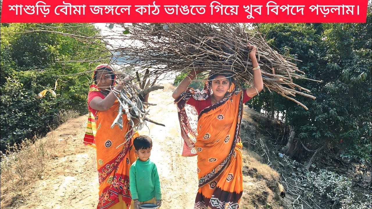 শাশুড়ি বৌমা জঙ্গলে কাঠ ভাঙতে গিয়ে খুব বিপদে পড়লাম।।
