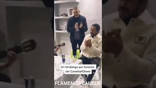 CANELITA - UN FANDANGO POR BULERIAS Y DICE BAMBA 👟👟