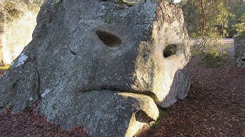 Identifying Mudfossil Body Parts and Chemistry is Simple