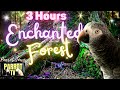 Enchanted forest  3hour music and ambience dreamscape for birds  parrot tv for your bird room