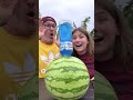 How To Make The Watermelon BLUE 