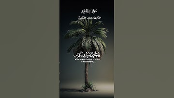 هُنَالِكَ دَعَا زَكَرِيَّا رَبَّه_ تلاوة من سورة ال عمران _ القارئ محمد الفقيه