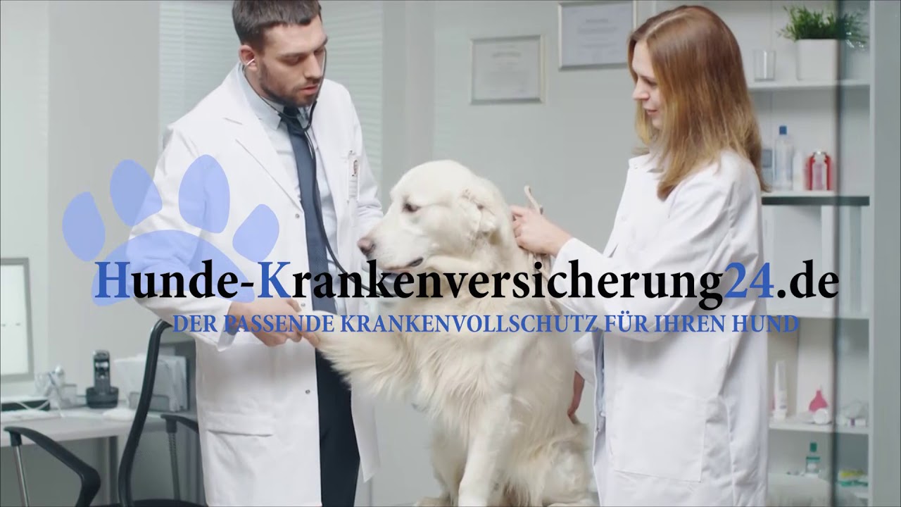 Hundekrankenversicherung vergleichen auf hunde-krankenversicherung24.de ...