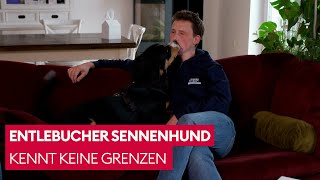 Bruno Maßregelt Seine Besitzer Der Hundeprofi