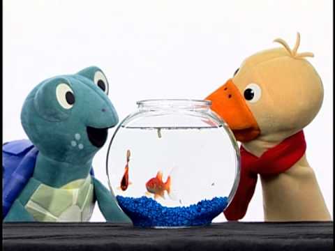 Baby Neptune - Discovering Water - YouTube