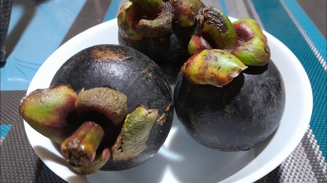 MANGOSTEEN FRUIT review for diabetic YouTube