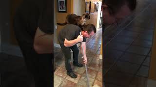 Cat Sits On Man's Shoulder While He Mops Floor -  1504038 -