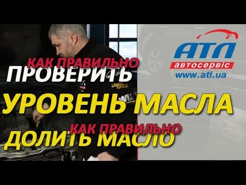 Как правильно проверить уровень масла |  Как правильно долить масло