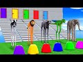 Max level long legs cow dinosaur elephant gorilla choose the right mystery door longest staircase