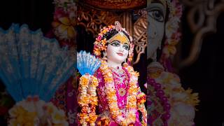 Darshan of Radha Rani 💞🙏 #shotrs #iskcon #radheradhe #viralshorts