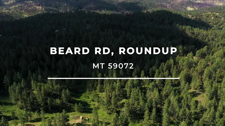 SOLD | 20 Acres of Old Growth Forest Land in Roundup, Montana | Montana Land Real Estate