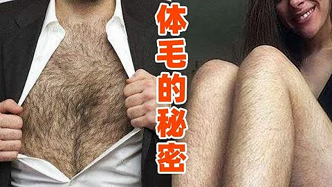 【皮膚科醫生】體毛重的人性慾強？為啥體毛多頭頂卻禿？ - 天天要聞