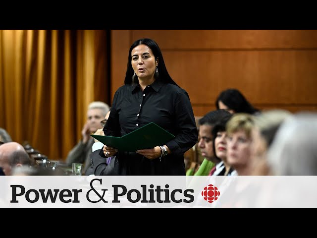 Federal minister says she came to Canada for a safe abortion | Power & Politics