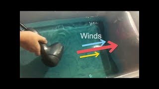 Homework Project: Prevailing Winds and Ocean Currents Model Demonstration